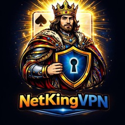 Логотип NetKing VPS